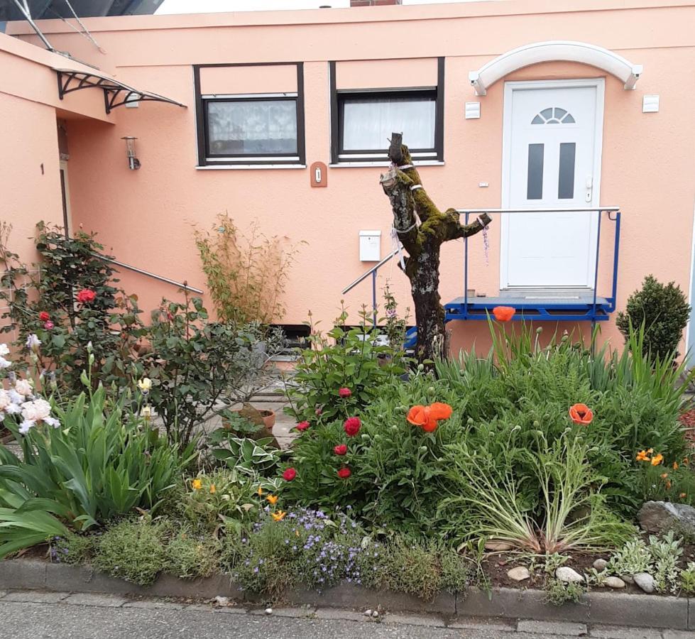 Ferienwohnung Flat Offenburg Exterior foto